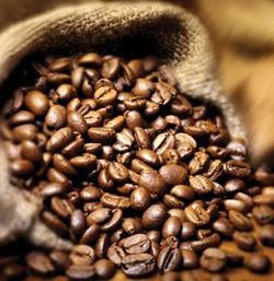 caffe elisir di lunga vita