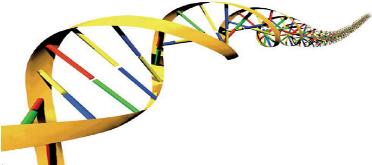 dna-riscrivibile-