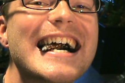 gara mangiatori di scarafaggi