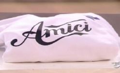 Amici-2013