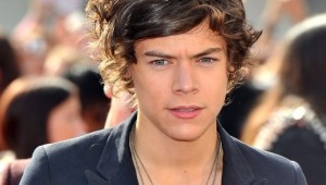 harry styles 