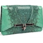 clutch-in-rettile-verde