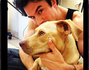 Ian Somerhalder