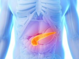 med-pancreas