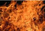 flame-virus-coreano