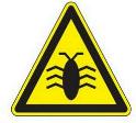 virus-spacciato-come-multa