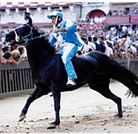 palio-di-siena-vince-londa